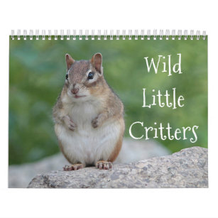 Wilde kleine Lebewesen Kalender