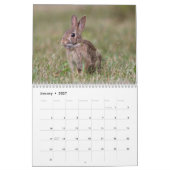 Wilde kleine Lebewesen Kalender (Jan 2027)