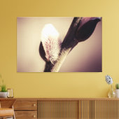 Wilde Knospen - das Vertrauen in das neue Leben Leinwanddruck (Insitu (Wohnzimmer))