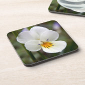 Wilde Kunststoff-Untersetzer Untersetzer (Linke Seite)