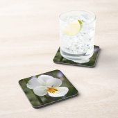 Wilde Kunststoff-Untersetzer Untersetzer (Rechte Seite)