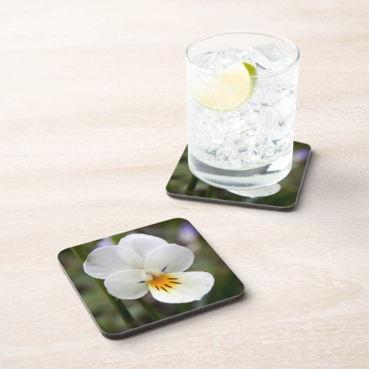 Wilde Kunststoff-Untersetzer Untersetzer (Rechte Seite)