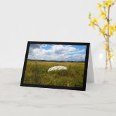Wilde Lace auf der Wiese Karte (Gelbe Blume)