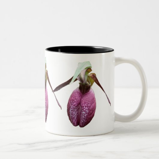 Wilde Lady Slipper Blume Foto Kaffee Tasse (Rechts)