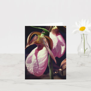 Wilde Lady Slipper Orchids Blume Personalisiert Hi Karte