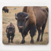 "Wilde Liebe: Das Bison und ihr Kalb" Mousepad (Vorne)