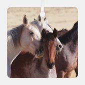 Wilde Liebe, Ornamente (Vorderseite)