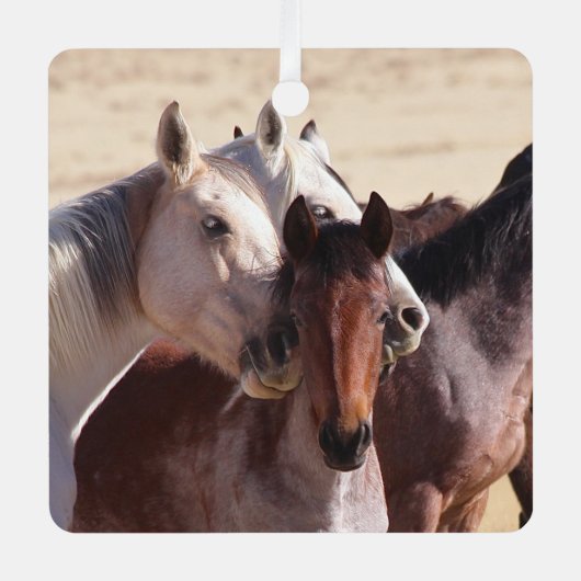 Wilde Liebe, Ornamente (Vorderseite)