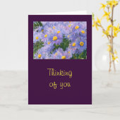 Wilde Lila Aster "Denken Sie an Sie" Gruß Karte (Gelbe Blume)