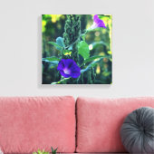 Wilde Lila Morning Glory Blume Leinwanddruck (Insitu (Wohnzimmer))