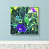 Wilde Lila Morning Glory Blume Leinwanddruck (Insitu (Holzboden))