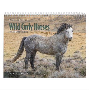 Wilde Lockenpferde von Salt Wells Creek Kalender