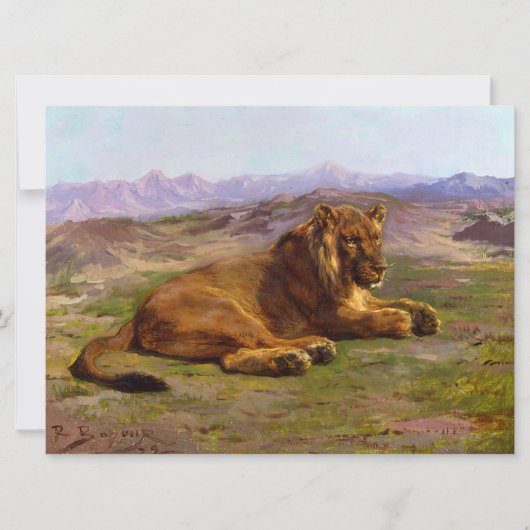 Wilde Löwen im Masai Mara Karte (Vorderseite)