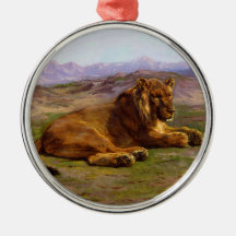 Wilde Löwen in der afrikanischen Savannah