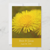 Wilde Löwenzahn Blume Frühjahr, Sommer, Hochzeit Einladung (Rückseite)