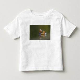 Wilde Mandarinente Aix galericulata) auf dunklem Kleinkind T-shirt