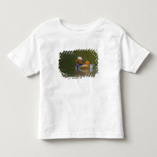 Wilde Mandarinente Aix galericulata) auf dunklem Kleinkind T-shirt