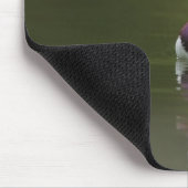 Wilde Mandarinente Aix galericulata) auf dunklem Mousepad (Ecke)
