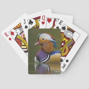 Wilde Mandarinente Aix galericulata) auf dunklem Spielkarten