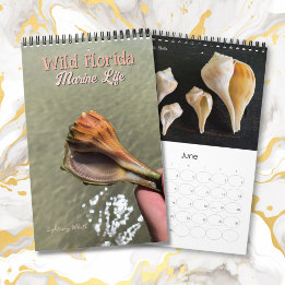 Wilde Meeresschnecken aus Florida Einsiedlerkrebse Kalender