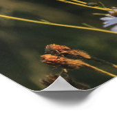 Wilde Milchprodukte auf einem Feld Poster (Ecke)