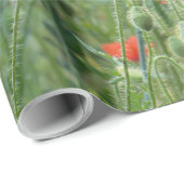 Wilde Mohn Geschenkpapier (Rolleneckpunkt)
