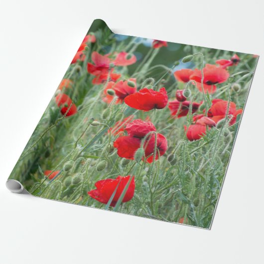 Wilde Mohn Geschenkpapier (Ungerollt)