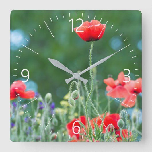 Wilde Mohn Quadratische Wanduhr (Vorderseite)