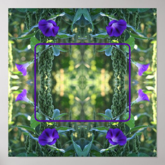 Wilde Morning Glory-Blume ergänzen Ihr Foto Poster (Vorne)