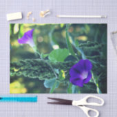 Wilde Morning Glory-Blume Seidenpapier (Handwerk)