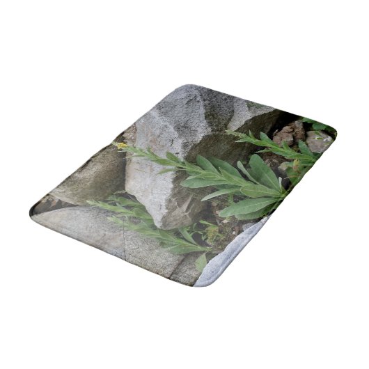 Wilde Mullein-Blume unter den Felsen Badematte (Schrägansicht)