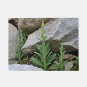 Wilde Mullein-Blume unter den Felsen Fußmatte (Vorderseite)