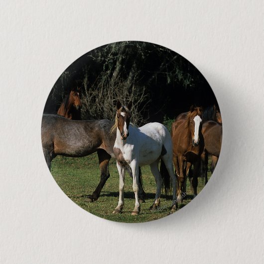 Wilde Mustang-Pferde 1 Button (Vorderseite)