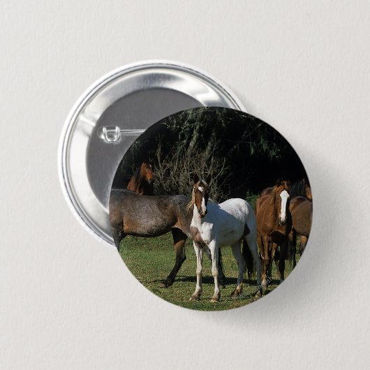 Wilde Mustang-Pferde 1 Button (Vorne & Hinten)