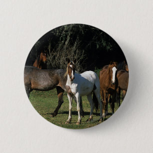 Wilde Mustang-Pferde 1 Button