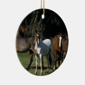 Wilde Mustang-Pferde 1 Keramikornament (Rechts)