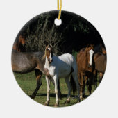 Wilde Mustang-Pferde 1 Keramikornament (Vorne)