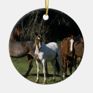 Wilde Mustang-Pferde 1 Keramikornament