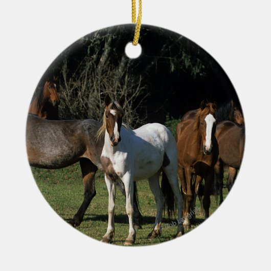 Wilde Mustang-Pferde 1 Keramikornament (Vorne)
