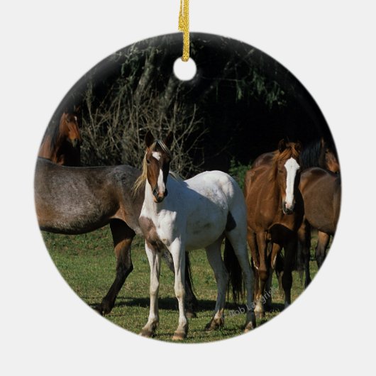 Wilde Mustang-Pferde 1 Keramikornament (Hinten)