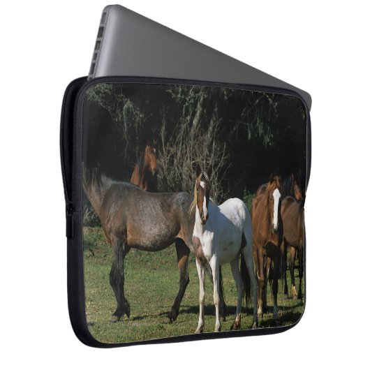 Wilde Mustang-Pferde 1 Laptopschutzhülle (Vorne Rechts)