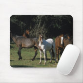 Wilde Mustang-Pferde 1 Mousepad (Mit Mouse)