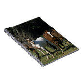Wilde Mustang-Pferde 1 Notizblock (Rechte Seite)