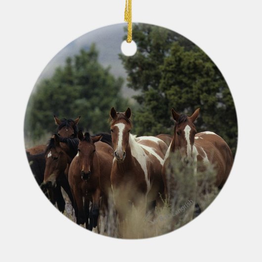 Wilde Mustang-Pferde 2 Keramikornament (Hinten)