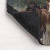 Wilde Mustang-Pferde 2 Mousepad (Ecke)