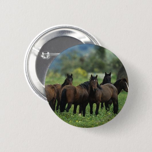 Wilde Mustang-Pferde 3 Button (Vorne & Hinten)