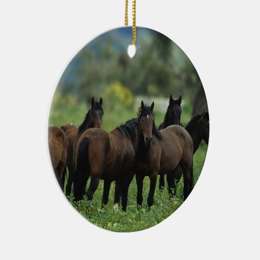 Wilde Mustang-Pferde 3 Keramikornament (Rechts)