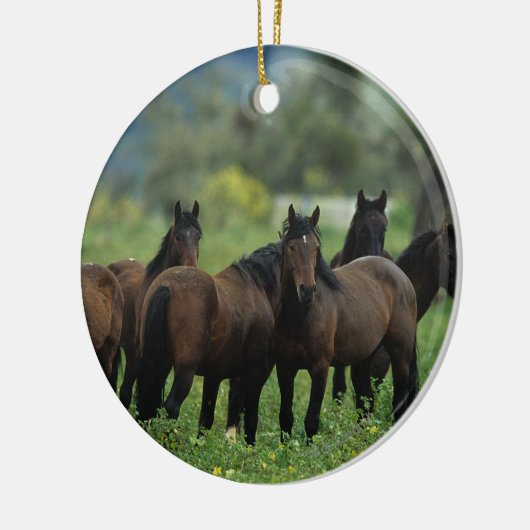 Wilde Mustang-Pferde 3 Keramikornament (Links)