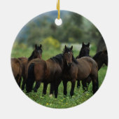 Wilde Mustang-Pferde 3 Keramikornament (Hinten)