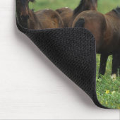 Wilde Mustang-Pferde 3 Mousepad (Ecke)